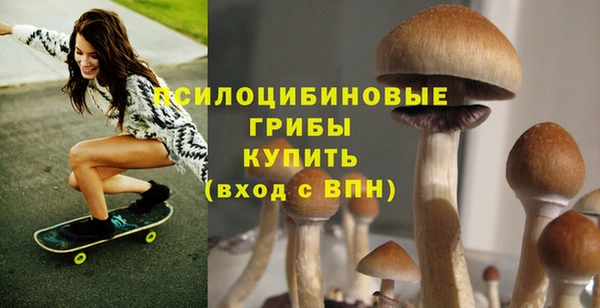 герыч Аркадак
